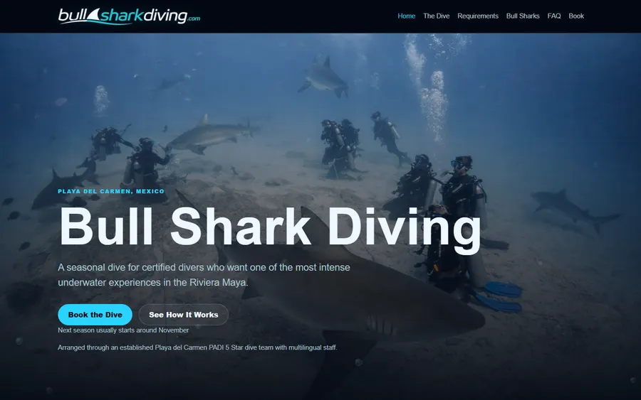 Bull Shark Diving homepage screenshot